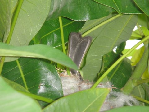 DSC08407.JPG