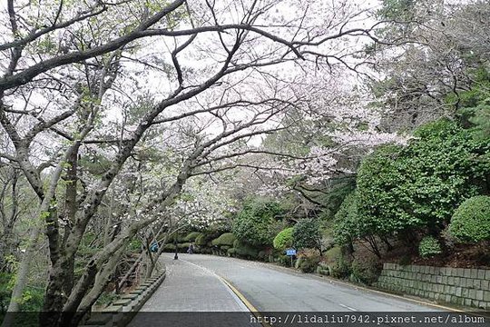 P1060541.JPG