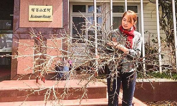 樹木醫生詹鳳春在中壢鄉村長大，卻是到日本留學-種樹、養樹、愛