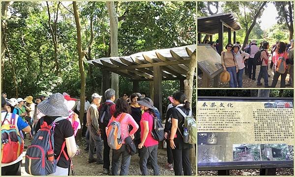 新竹高峰植物園-005