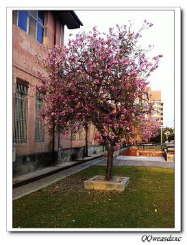 nEO_IMG_IMG_2159.jpg