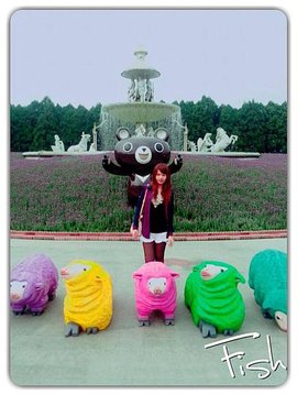 img1425971209240