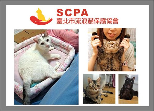 下一張(熱鍵:c)