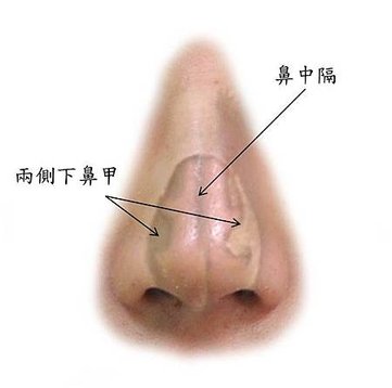 AR OP圖示.png