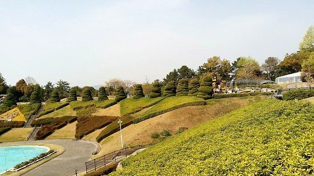 濱松花卉主題公園 (15)