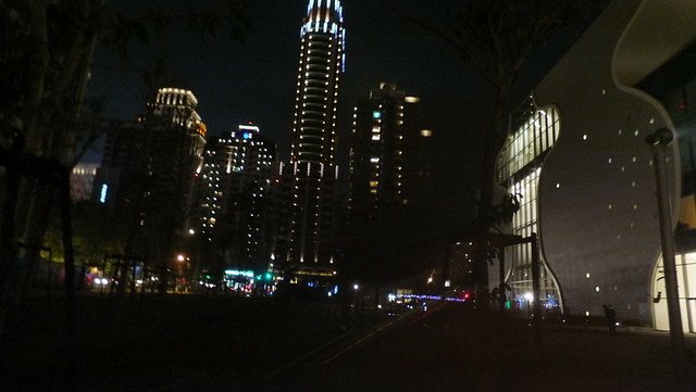 台中新社花博 160