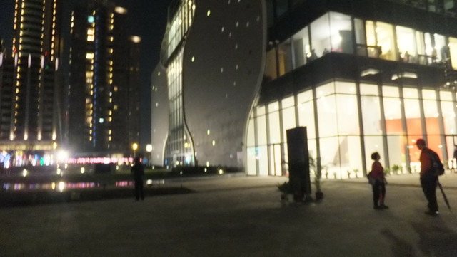 台中新社花博 162