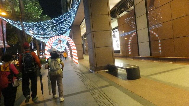 台中新社花博 182