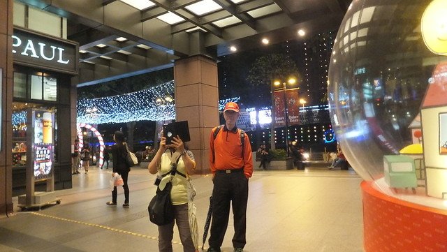 台中新社花博 186