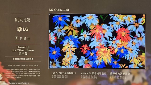 LG OLED evo智慧電視