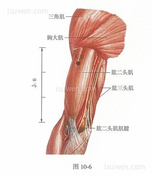 天泉穴.jpg