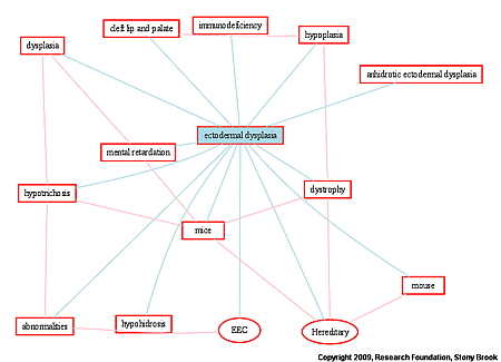 ectodermal-dysplasia-entity-graph