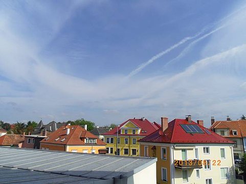 IMGP6429