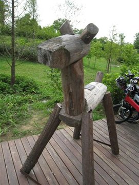 IMG_2537.jpg