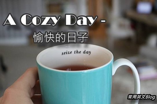  Cozy 的中文意思