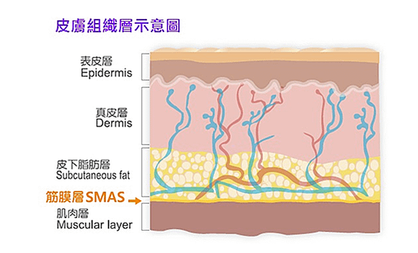 極限音波拉提 自然有感的拉提