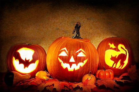 jack-o-lanterns-3735386_960_720.jpg