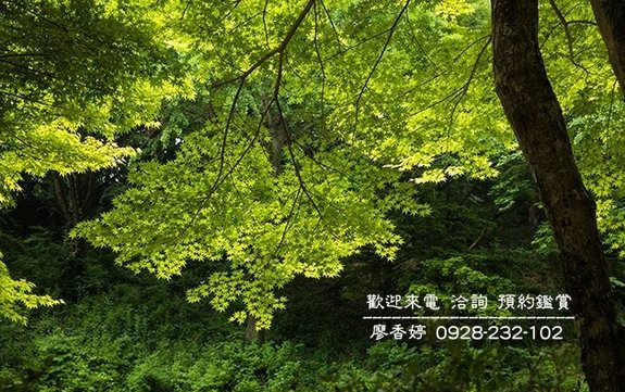 台中好宅 惠宇建設 樂觀 敦北 開朗 千曦 國美館 大其心 觀市政 五十七間堂 PARK 23 清朗  一森青 敦南 禮仁 新觀 原山 大聚 上晴 天青 富山居 山曦 宇山鄰 仁美 寬心 仰德 澄品 晴山 青田 可觀 科博仰森 一方庭 大容廖香婷0965520580歡迎預約鑑賞 委託銷售(12).jpg