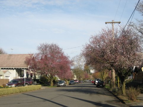 spring