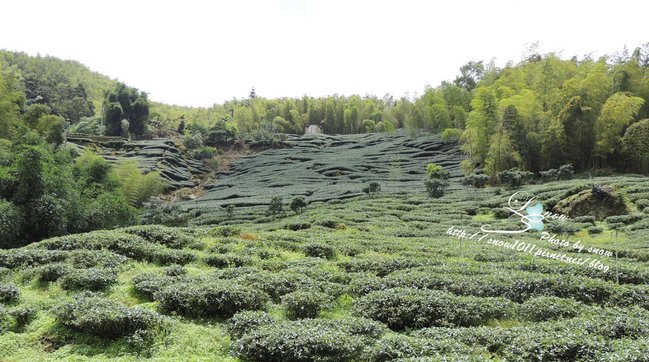 沿途風景