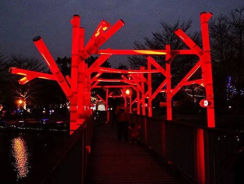 A2015鹽水蜂炮 (18).JPG