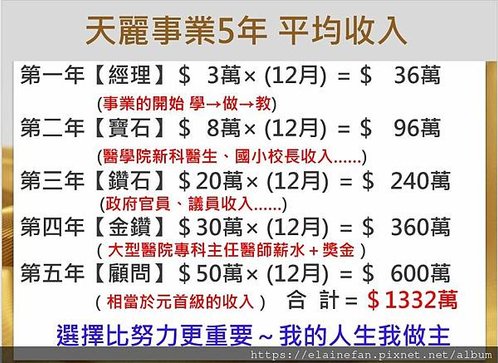 天麗事業5年收入.JPG