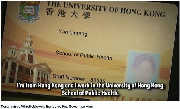 香港大學公共衞生學院病毒學、免疫學博士閻麗夢-港大病毒學家流