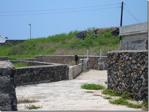 P1040376
