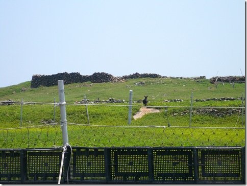P1040375