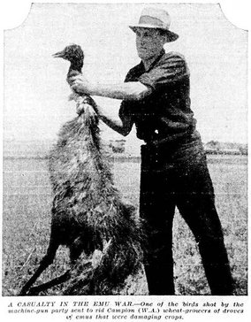 160801vintageemu.jpg