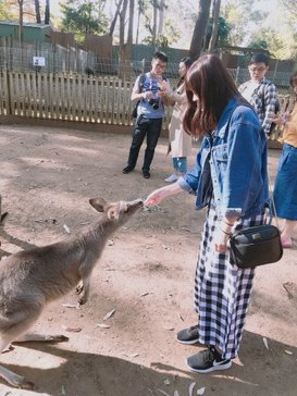 澳洲跟團 | 雪梨六天旅行：行程參考、季節、注意事項總整理