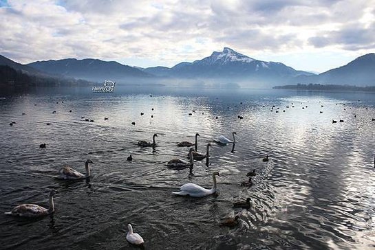 2014 0101 Mondsee