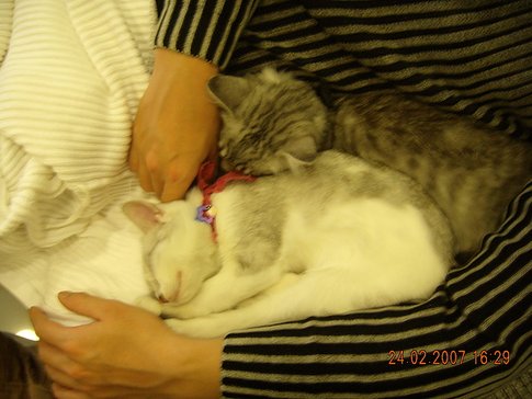 DSCN0346.JPG