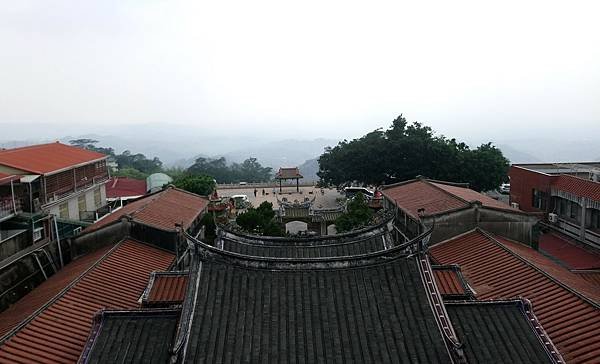 DSC_0542-1
