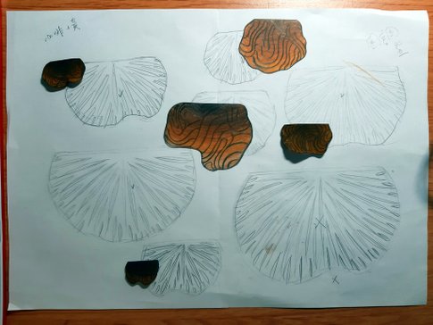熱縮-香菇堆05.jpg