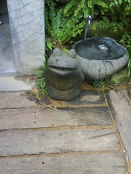DSC06860.JPG