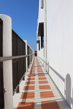 IMG_7506_副本