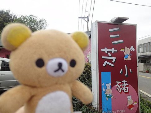 三芝小豬-阿熊2.JPG