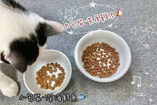 美國柏克 PRO PAC 無穀貓飼料試吃心得😽