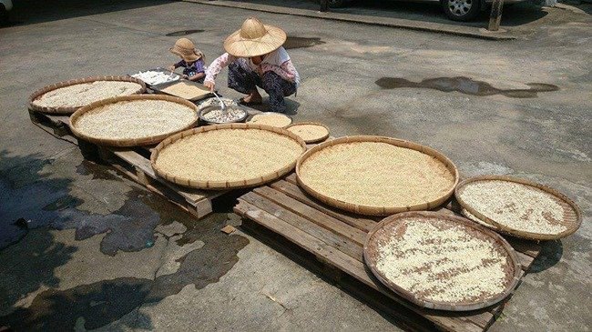 【開團ing】梁媽咪-「無毒」八神米麩／18珍穀孕補銀養米麩。一起為健康把關