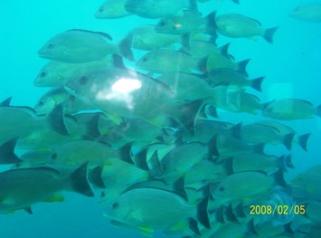61-第二天魚眼公園-海底瞭望台.jpg