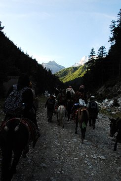 DSC_8835.jpg