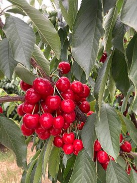 IMG_8424.JPG