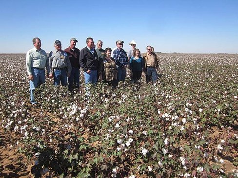 organic cotton growers-1.JPG