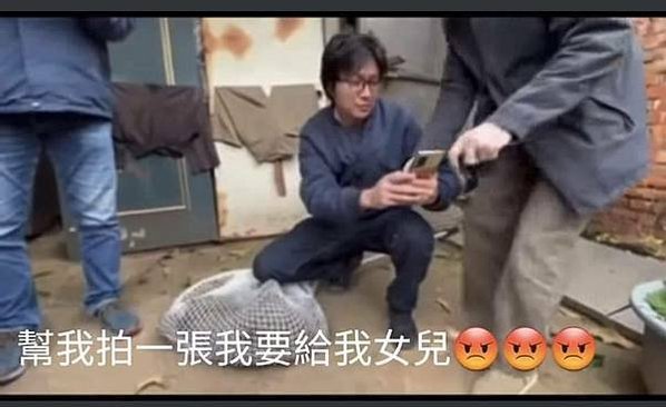 開槍殺狒狒/動物在台灣，常常是人人都要管，但人人都管不到的狀