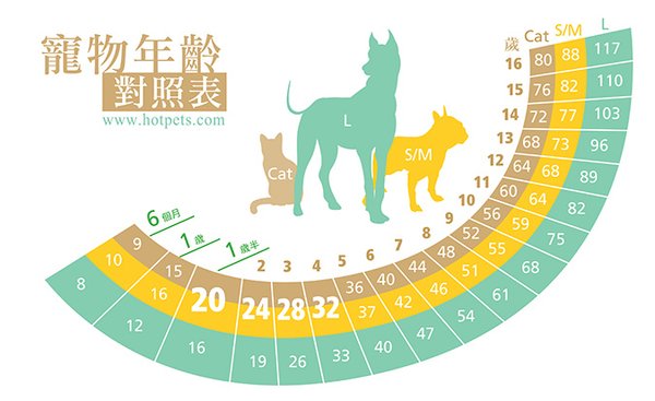 狗年齡、狗換算人類年齡、狗幾歲、狗年齡換算、狗年齡計算、狗年齡換算表、狗年齡對照表、狗年紀計算、 狗年紀換算、狗年齡計算法、狗年紀怎麼算、狗狗年齡、狗的年齡、狗的年齡要怎麼算、狗的年齡怎麼算、 狗的年齡計算、狗的年齡換算、狗的年紀、狗的年紀怎麼算