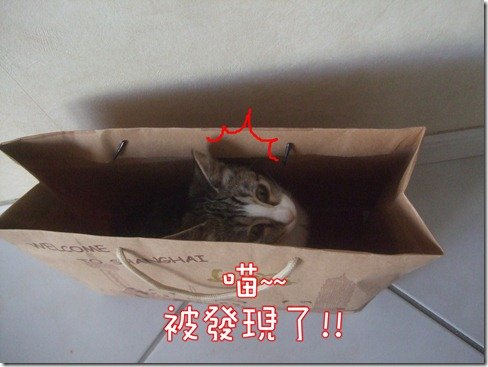 DSCF6401