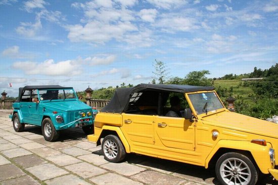 VWsafari-1.jpg