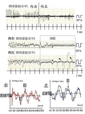 圖(縱).jpg