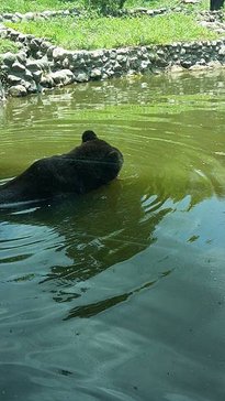 20150702_115530.jpg